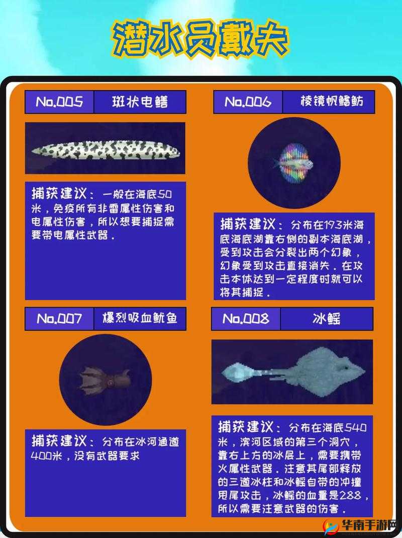 潜水员戴夫海鳗捕捉方法全攻略 教你轻松抓住海鳗