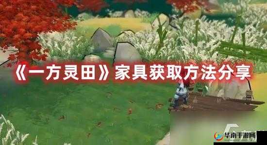方灵田家具获取攻略：详解获取方法与途径分享
