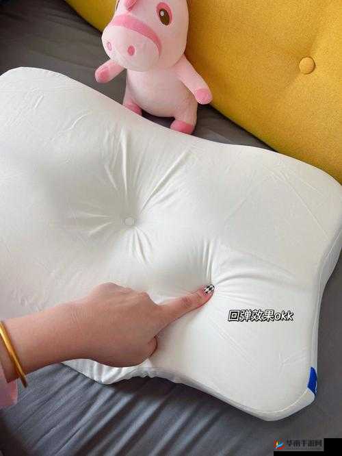 自 W 到高 C 的教程夹枕头使用方法