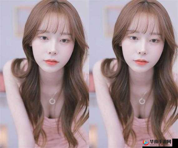 免费人马大战 CSDN 软件：挑战技术之巅