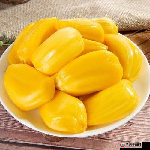 探秘亚精产品一三三三菠萝蜜：神秘美味之旅