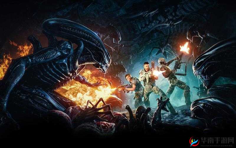 异形火力小队:难度阶梯的挑战与设置界面语言翻译共享中心