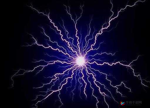 718 黑瓜吃料的奇特现象