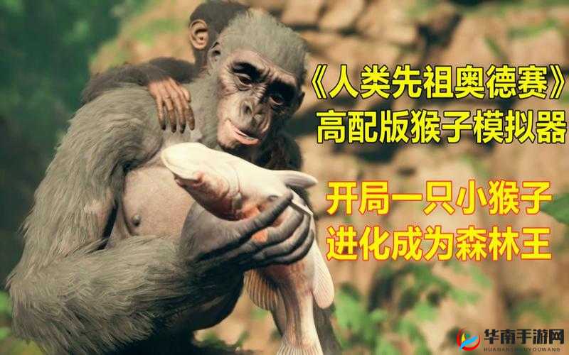 奥德赛之旅：先祖人类的传承与小猴子成长的奥秘——探索猴子成长的多种方法分享