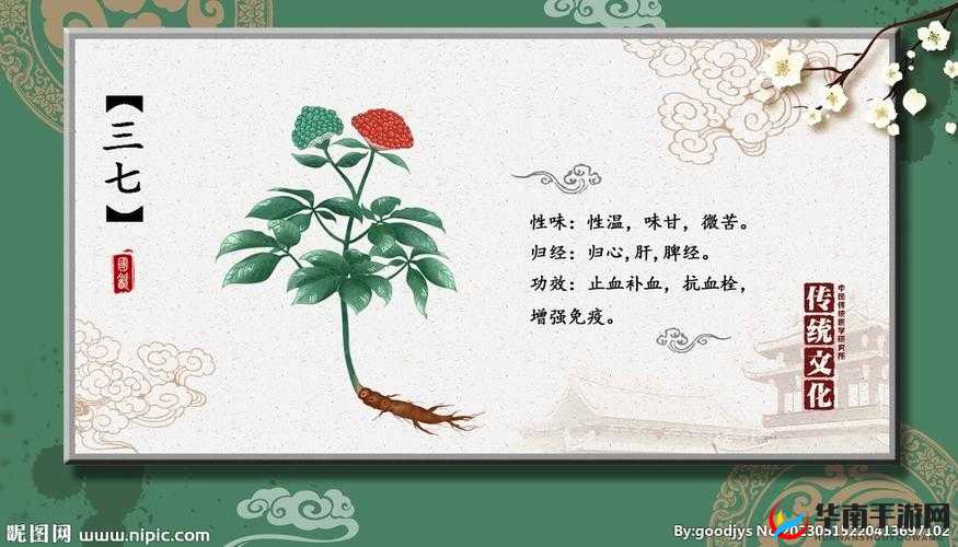 三七大但人文艺术免费：你不可错过