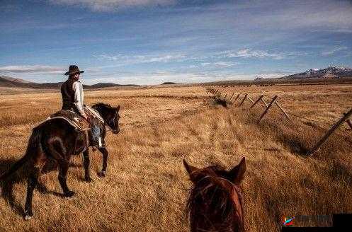 美国与动物 ZoomkooL 牧场：神奇的存在