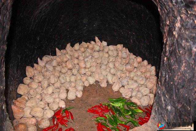 揭秘中世纪粮食搬入地窖的全过程：流程详解与方法探索