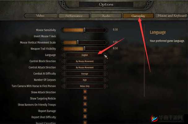 游戏细节解析：骑马与砍杀2游戏精髓之处大揭秘