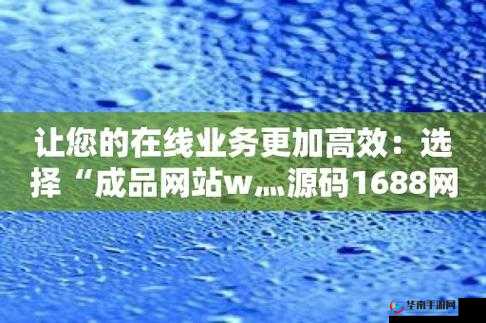 成品网站 W 灬源码 1688：您的优质选择