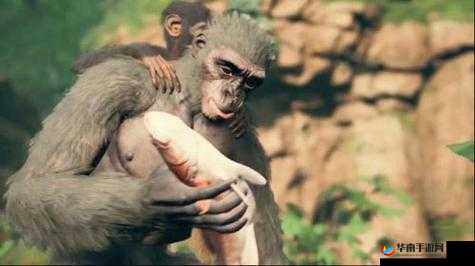 先祖人类奥德赛：招募猴子的策略与心得
