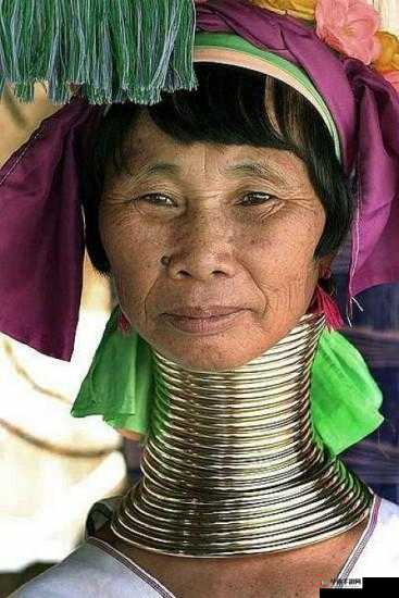 缅北网站浏览器：独特的网络探索工具