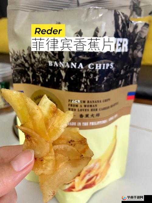 香蕉大师香蕉片：美味零食之选