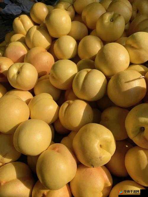 欧产国产蜜桃：口感与品质的差异