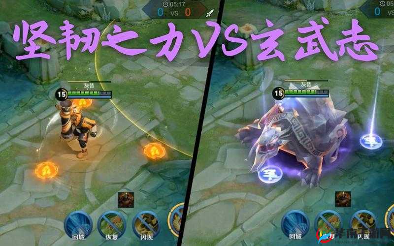 王者荣耀玄武志与坚韧之力对比：究竟谁更胜一筹