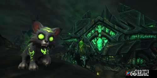 魔兽世界7.2新版慈善宠物面世：可爱小猫攻略
