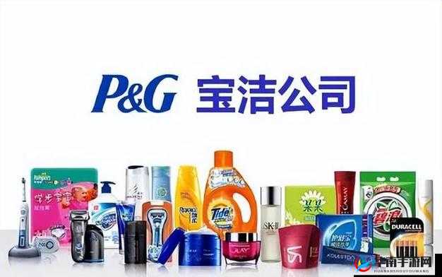 jjzZ 日本人：日化的魅力与挑战