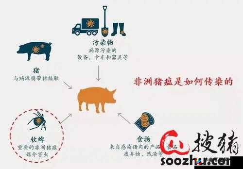 猪养殖行业：环保、疾病与食品安全挑战