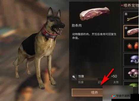 明日之后新手必知：如何正确给狗狗喂食的方法技巧