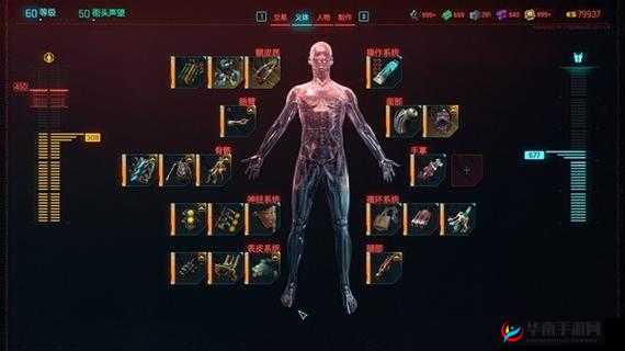 赛博朋克2077流派深度解析：探索不同玩法路线，体验未来科技世界冒险之旅