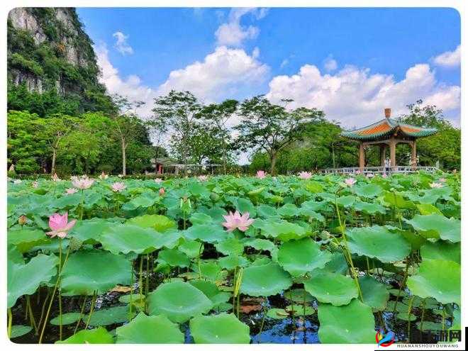 两瓣红莲今夜开一池碧水盼君浴：静候佳人