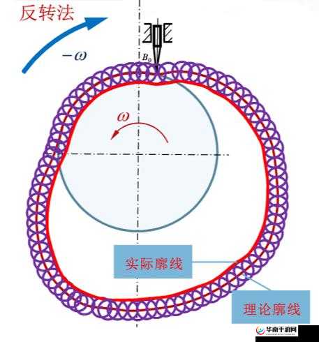性别自由凸轮与凸轮图片的独特魅力