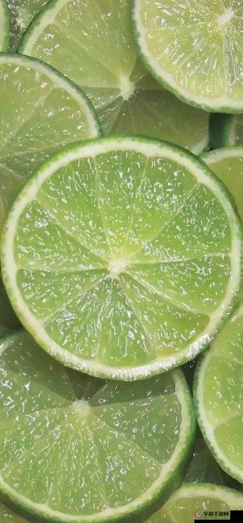 中国 14may18XXXXXLmedjyf：探寻历史文化的密码