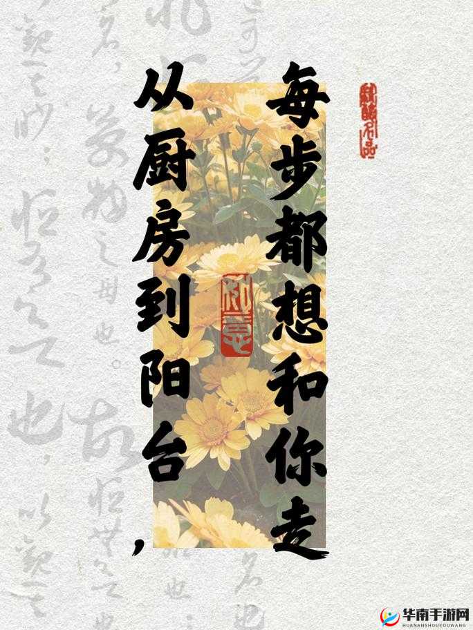 深度评测我想和你从厨房到阳台：详细解读