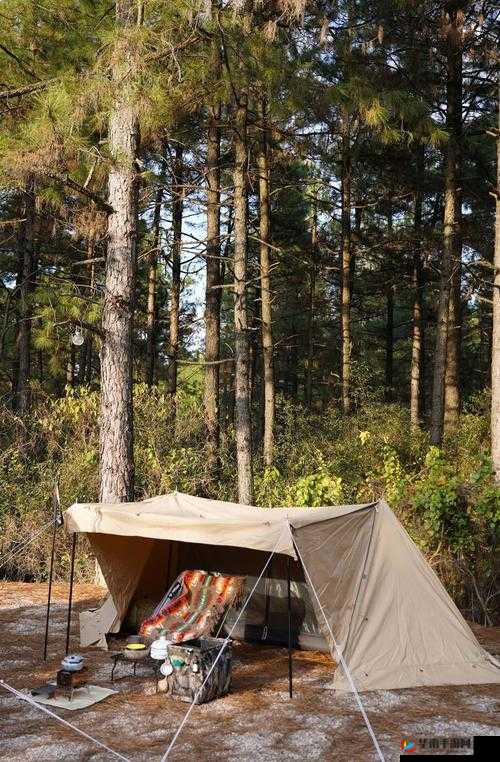 他那里早已支起帐篷啦