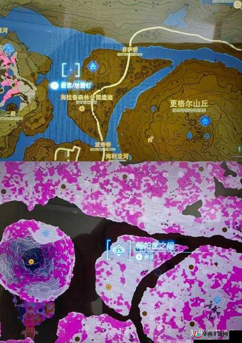 荒野之息:金色甲虫大搜索塞尔达金色甲虫位置览