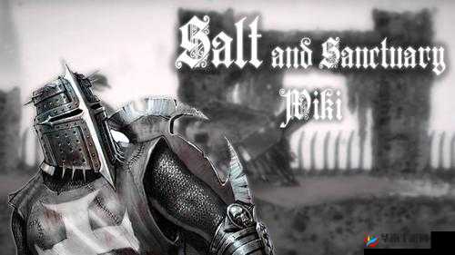 盐和避难所最效率刷盐攻略：深度解析刷盐技巧，引领你走向最速路线