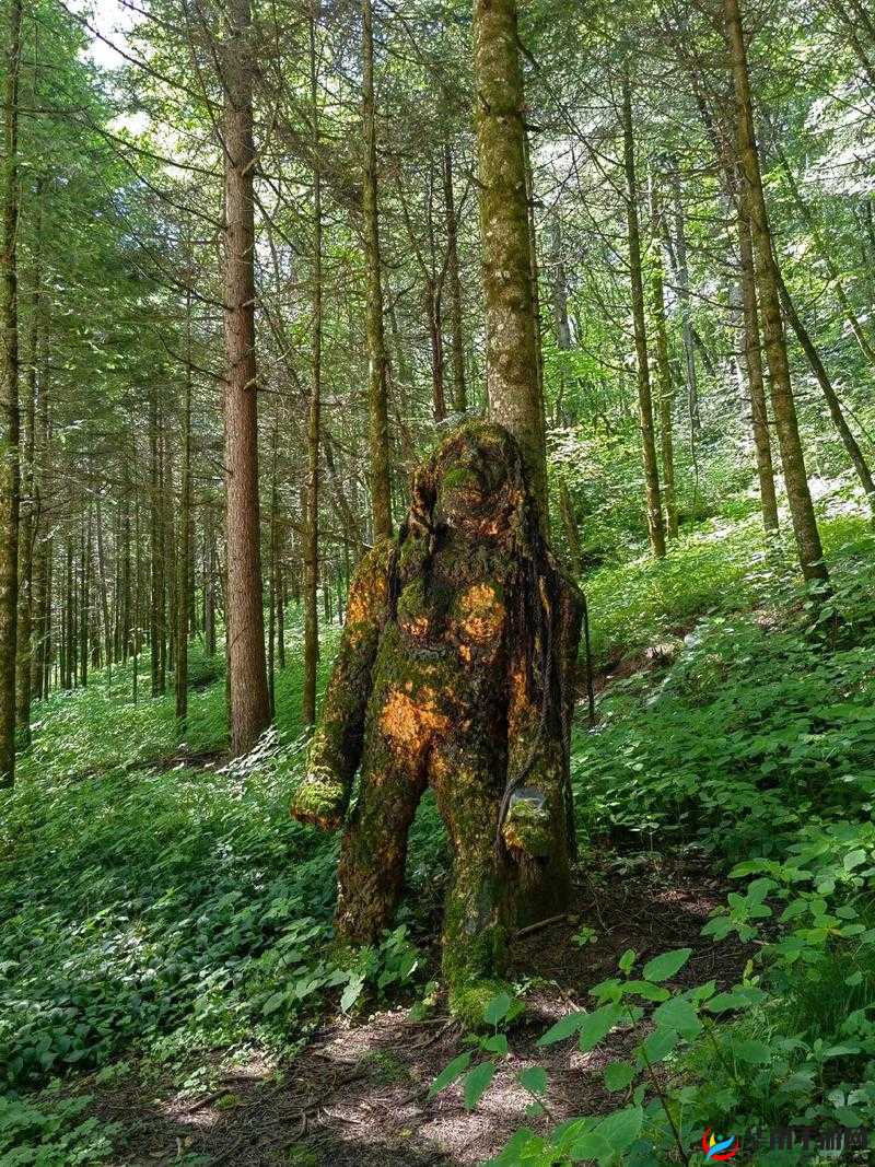 森林深处的神秘式神，你知道它是谁吗？