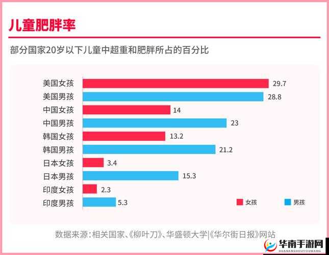 中国大肥胖 VPSWINDOWS：探讨肥胖问题的新视角