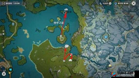 原神中探寻夜泊石获取的绝佳途径