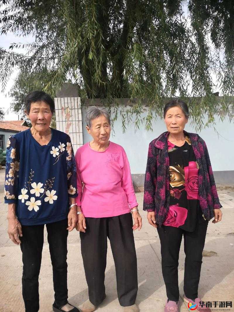 老刘头的幸福晚年：张倩倩的陪伴与成长