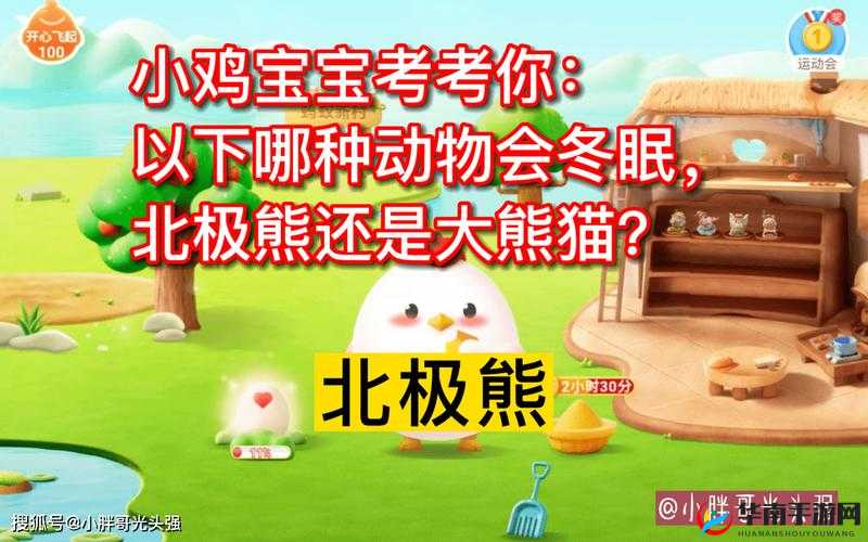 小鸡宝宝考考你中国陆地面积最大的省区究竟是哪一个呢