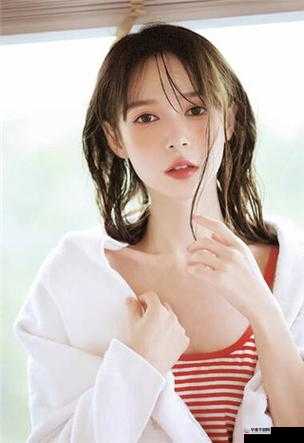 ZOMBIE 视频 SUPREME：精彩呈现