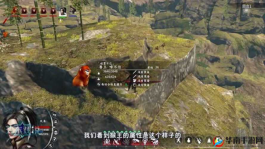 河洛群侠传金丝猴王:啼不住的属性与技能