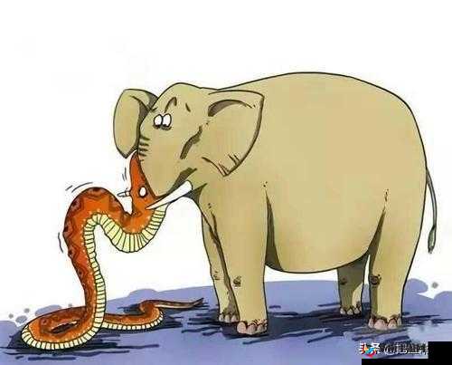 四叔一次又一次索取盛年岂：贪婪背后的人性迷途