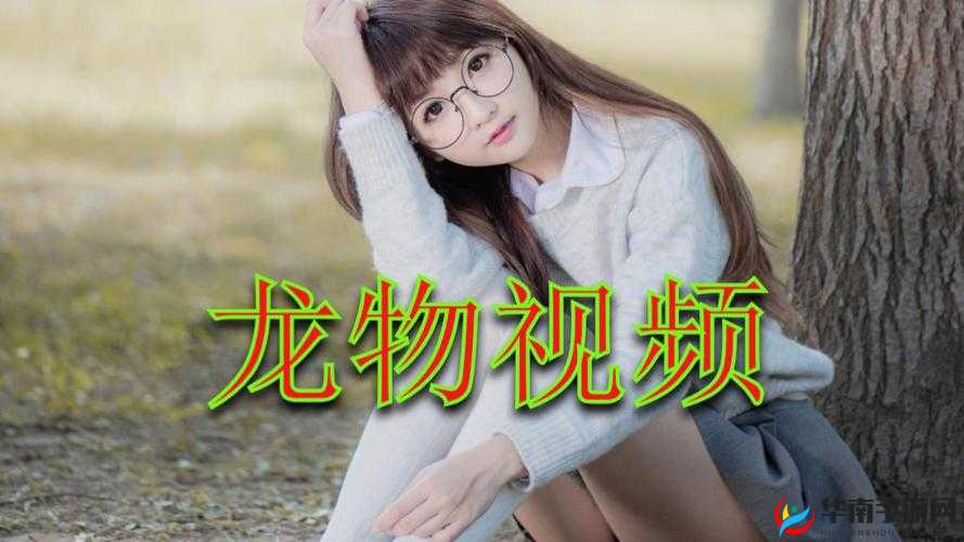 yw193 龙物永不失联- 激情体验,尽在其中