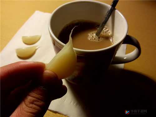 回档换个姿势再来一次咖啡就蒜：奇妙组合的新体验
