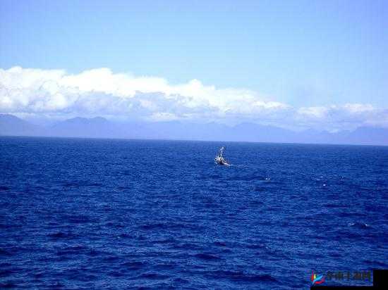 ATLANTICOCEAN 巨大在线入口终于打开：激动人心的时刻