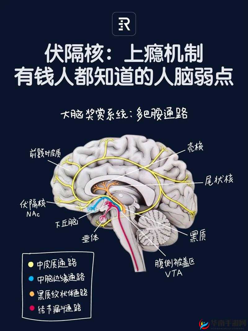 1v2 高 HP 系统揭秘：背后的秘密机制