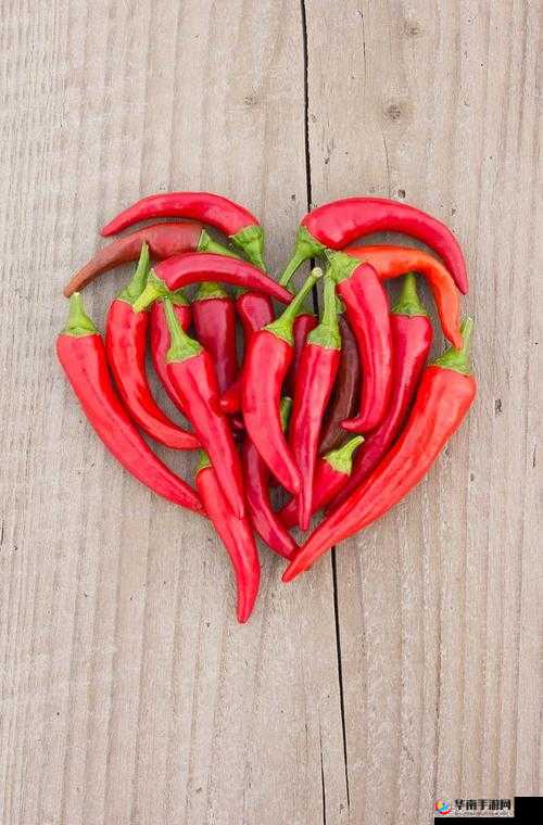 成品大香伊煮和小辣椒的烹饪及调味用途