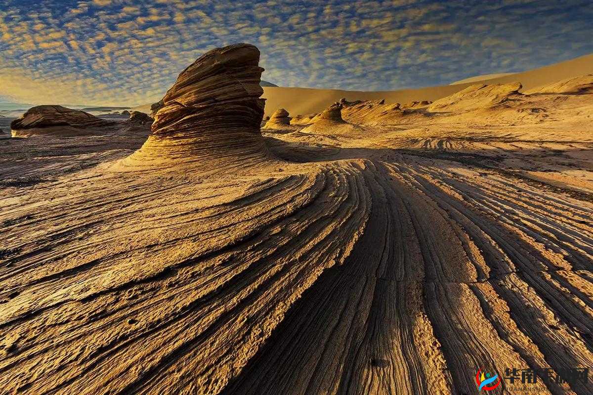 日产精品无人区：探寻神秘之境