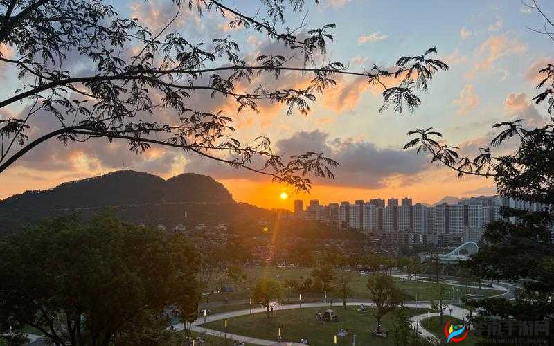 王阿姨的 IPHONE13：记录美好瞬间