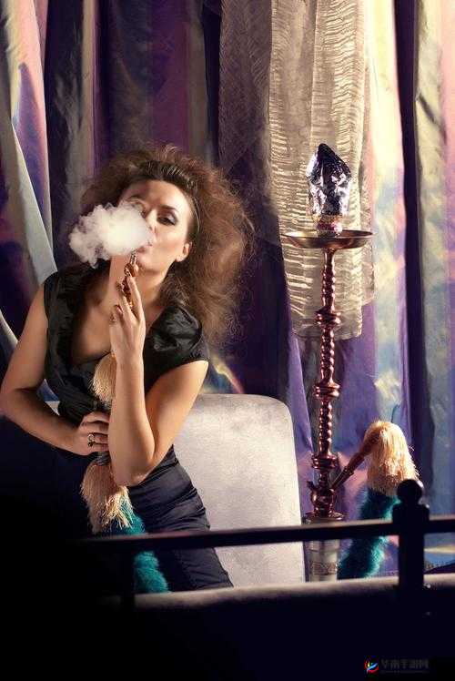 夜爽妓女 8888：熟女老少激情派对