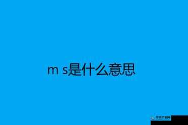 S 把 M 骂得让 M 湿透了