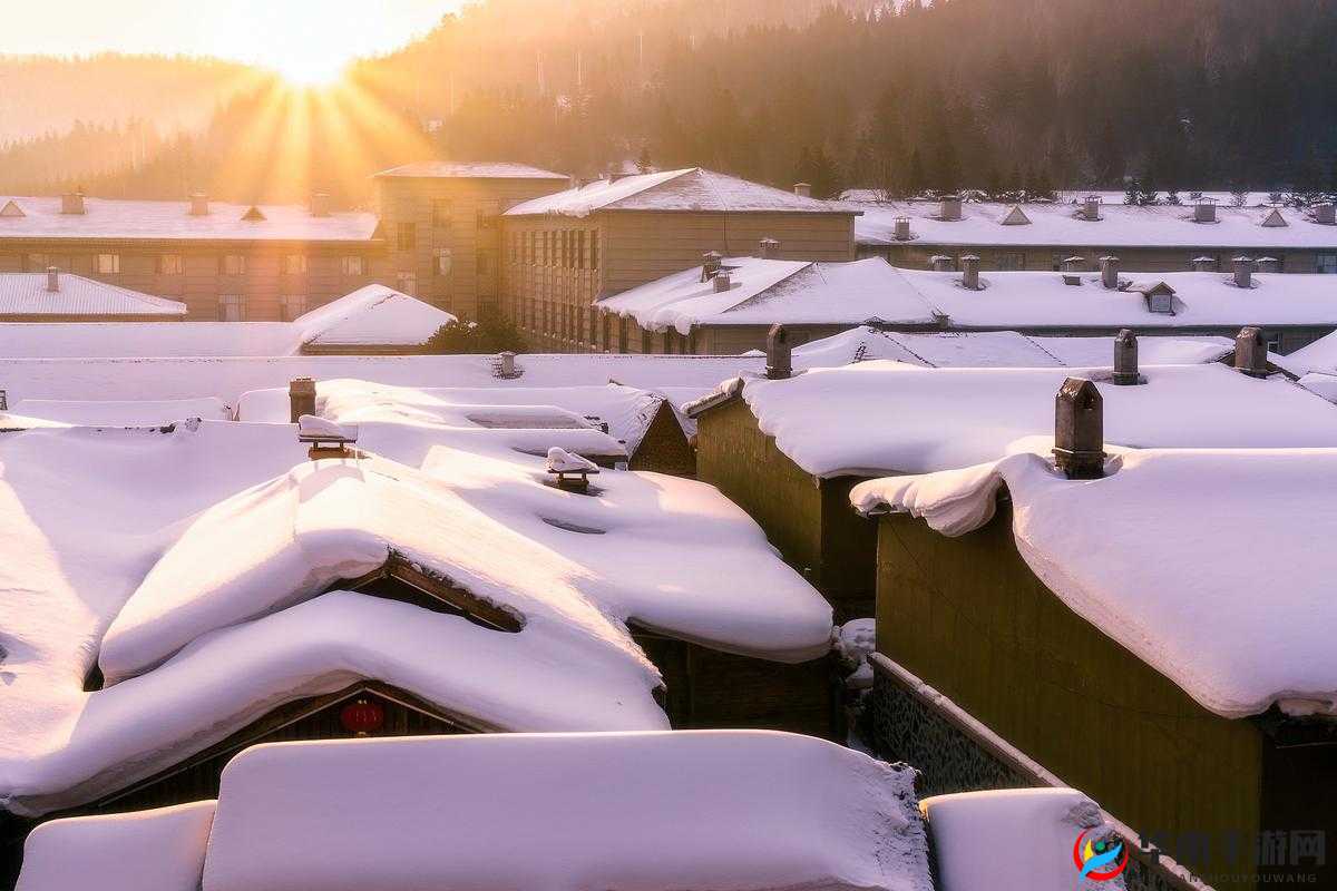 涩涩 17C 影视:成人影片的别样世界