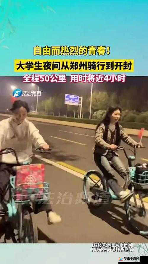 热烈满 18 点此安全转入 2024 大象：开启全新征程