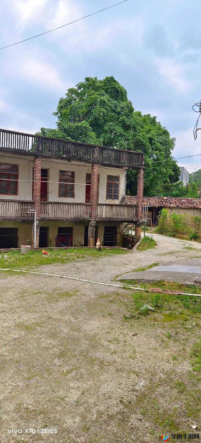 田福和母亲在芦苇中对话：母亲的担忧与期望